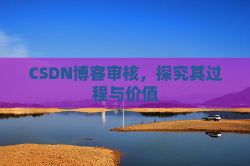 CSDN博客审核，探究其过程与价值